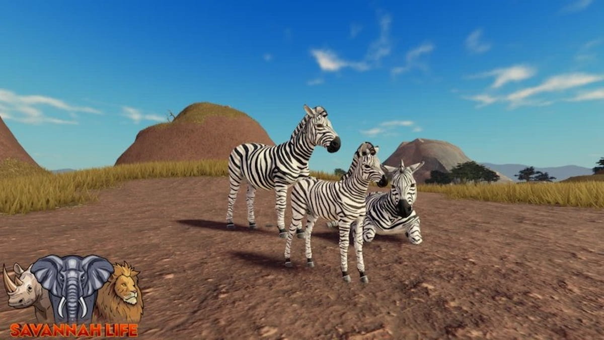 Savannah -Lebenscodes (Januar 2025)