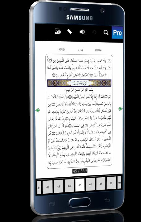 Quran (in Arabic)