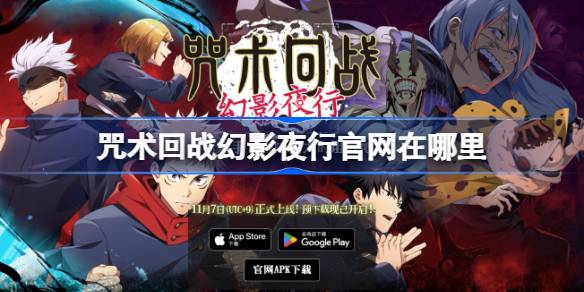 ¿Dónde está el sitio web oficial de Magic Night Walk in the Magic?
