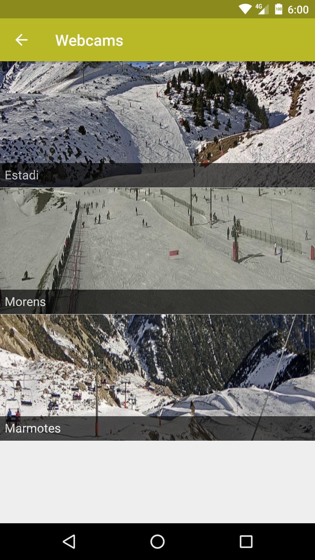 Vallter 2000