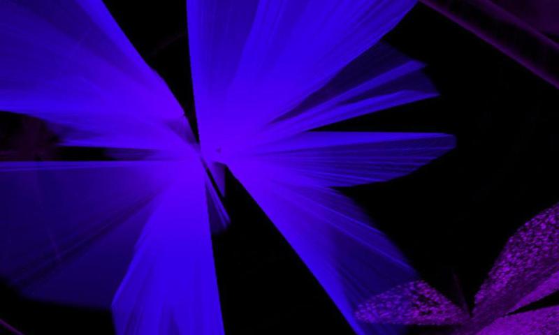 Indigo wallpapers