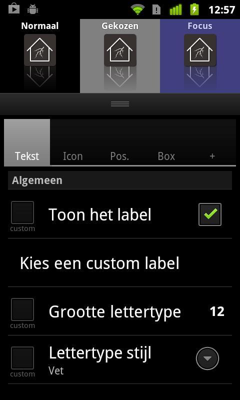 Lightning Launcher  Nederlands