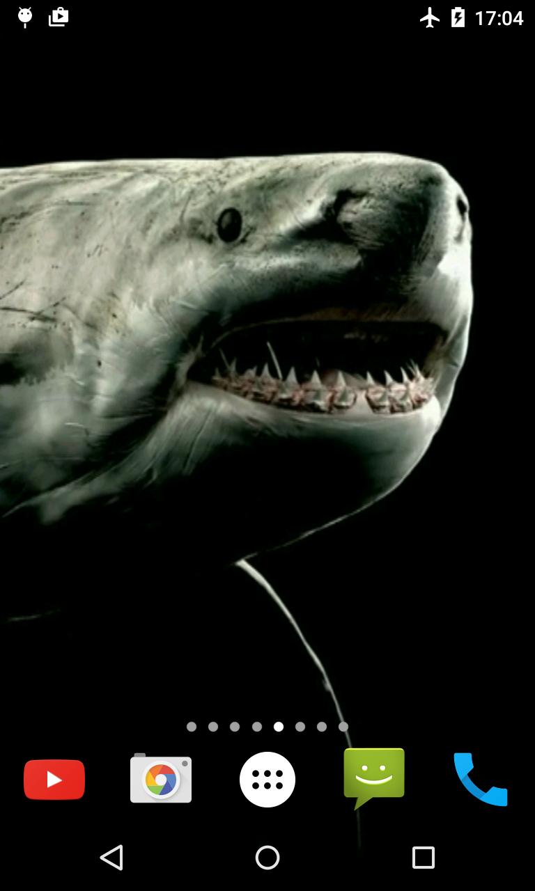 Shark 4K Video Live Wallpaper