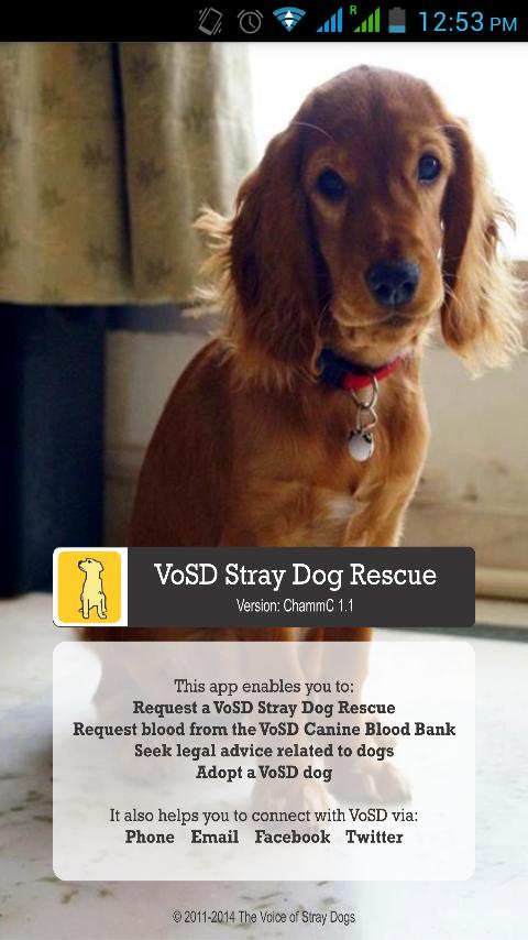 The VoSD Stray Dog Rescue App