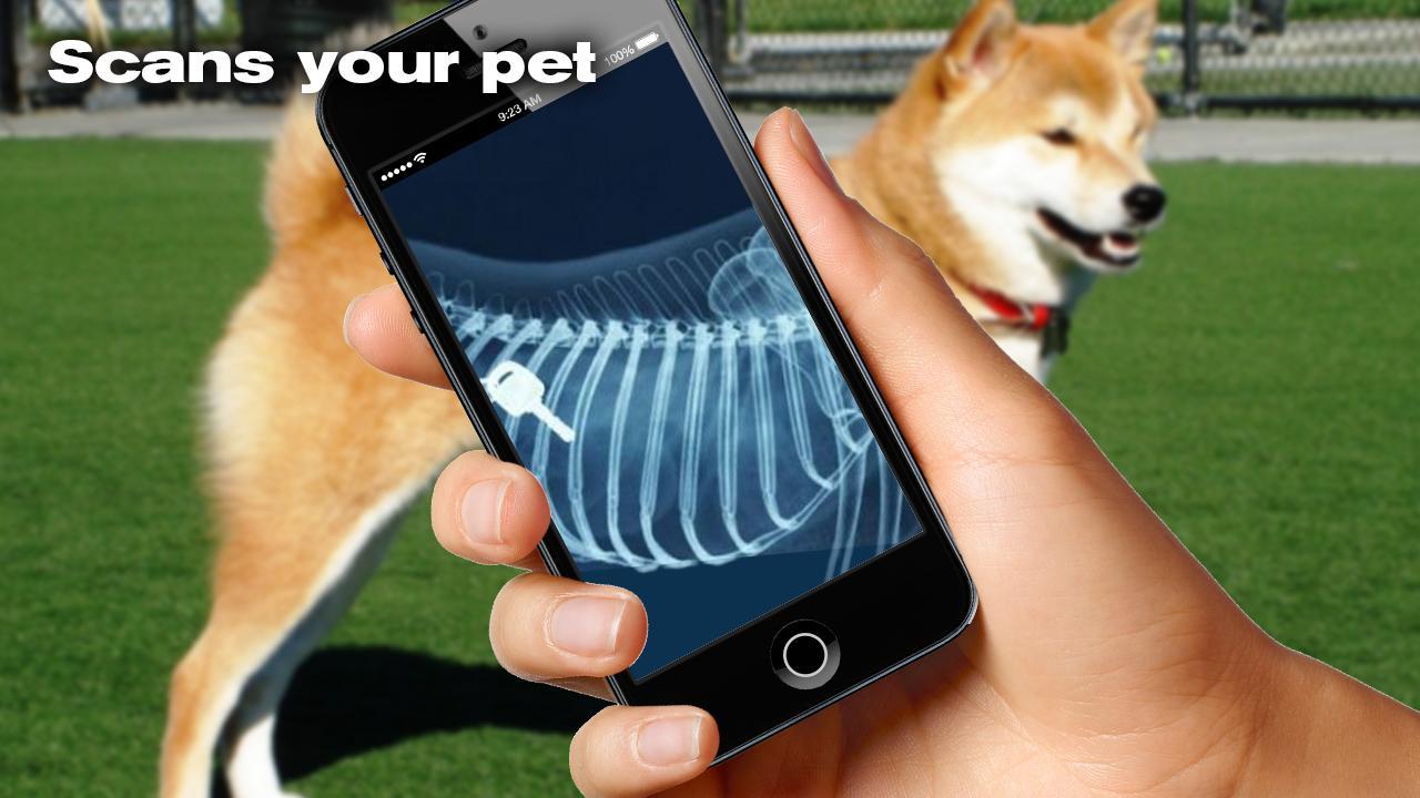X-ray Dog Simulator