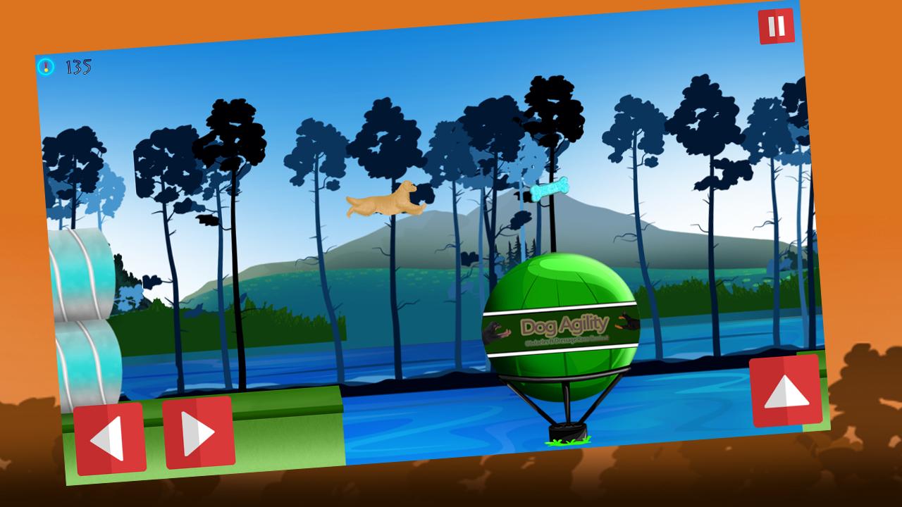 Dog Agility 2 Obstacles Race