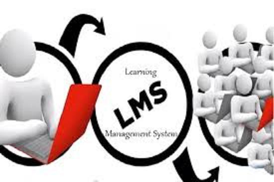 Olive International.