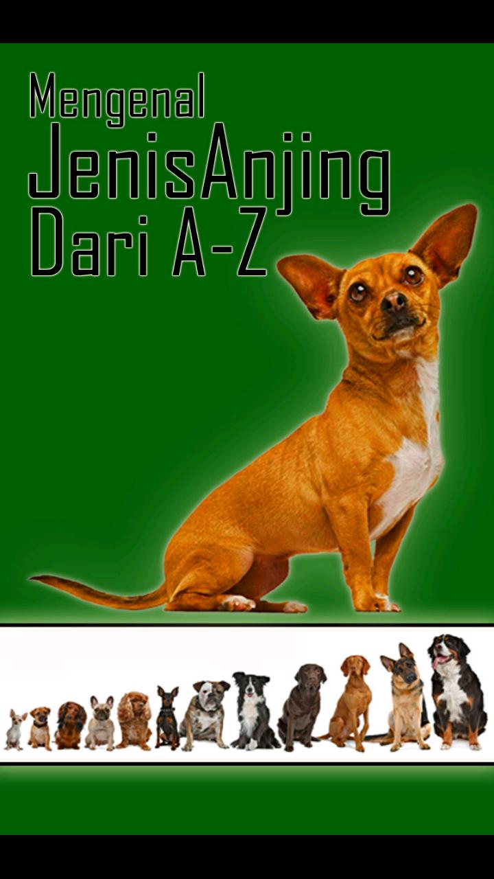Mengenal Jenis Anjing dari A-Z